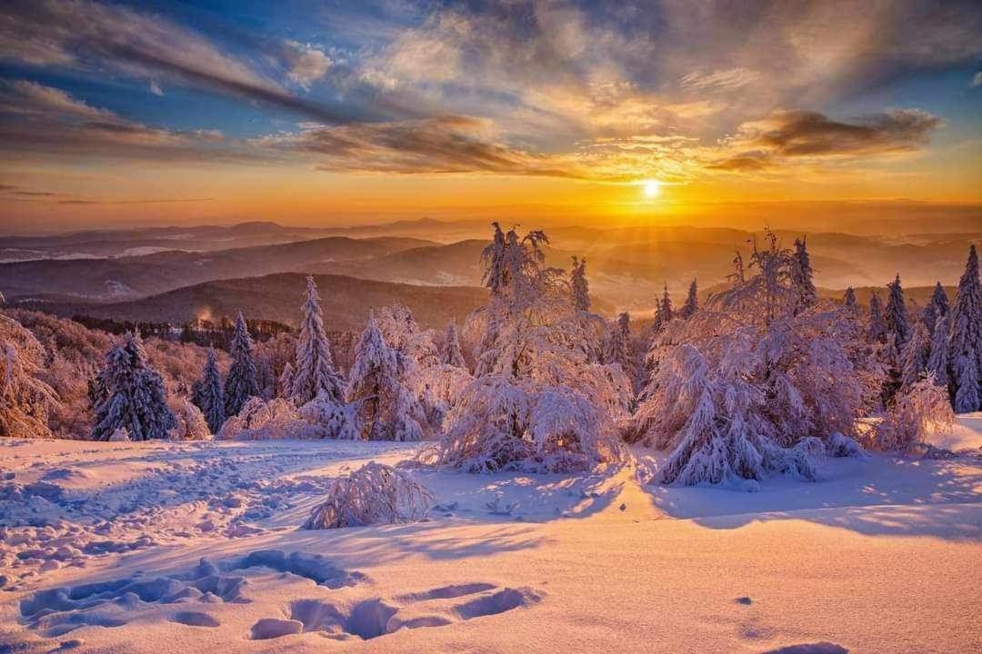 فندق Krynicka Koliba Na Jaworzynie Krynickiej كرينيتسا زدروي المظهر الخارجي الصورة
